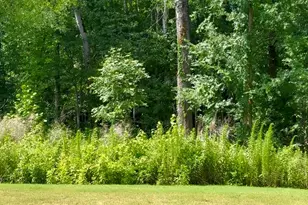 35 Buckingham Ln, Hoschton, GA 30548 - Photo 9