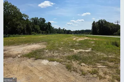0 E Highway 80, Swainsboro, GA 30401 - Photo 3