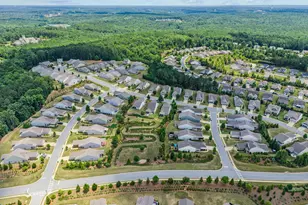 1000 Chickasaw Chief Pl, Greensboro, GA 30642 - Photo 49