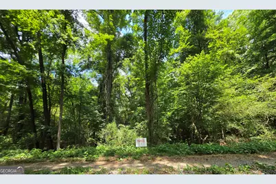 0 Highway 42 S #LOT 1, Forsyth, GA 31029 - Photo 9