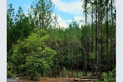 0 Highway 42 S #LOT 4, Forsyth, GA 31029 - Photo 11