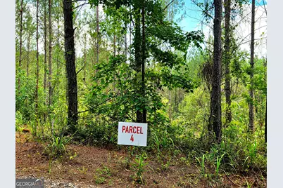 0 Highway 42 S #LOT 4, Forsyth, GA 31029 - Photo 5