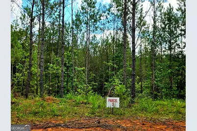 0 Highway 42 S #LOT 8, Forsyth, GA 31029 - Photo 3