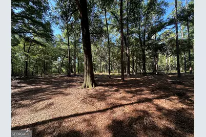 3852 Poor Robin Road, Sylvania, GA 30467 - Photo 19