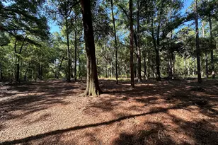3852 Poor Robin Rd, Sylvania, GA 30467 - Photo 19