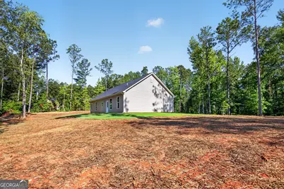 242 Glavine St, Greenville, GA 30222 - Photo 9
