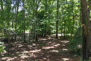 253 Industrial Blvd, Toccoa, GA 30577 - Photo 39
