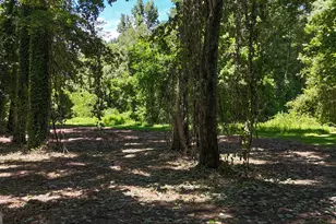 253 Industrial Blvd, Toccoa, GA 30577 - Photo 49