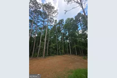 117 Dove Valley Lane, Athens, GA 30606 - Photo 19