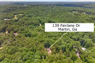 139 Fairlane Dr, Martin, GA 30557 - Photo 41