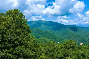 235 Rios Dr, Bryson City, NC 28713 - Photo 3