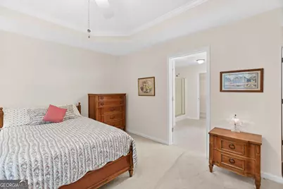 892 Brooks Woolsey Road, Brooks, GA 30205 - Photo 21