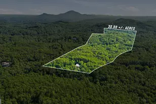 629 Monroe Ridge Rd, Sautee Nacoochee, GA 30571 - Photo 3