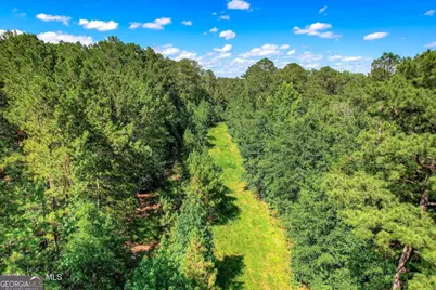 0 Hwy 378 and Ann Scott Dr, Lincolnton, GA 30817 - Photo 17
