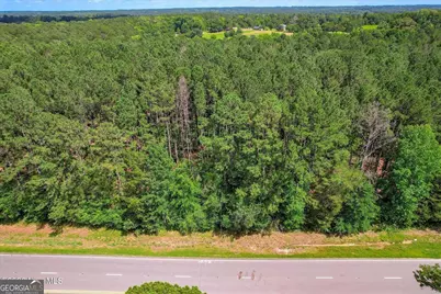 0 Hwy 378 and Ann Scott Dr, Lincolnton, GA 30817 - Photo 3