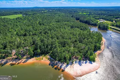 0 Hwy 378 and Ann Scott Dr, Lincolnton, GA 30817 - Photo 15