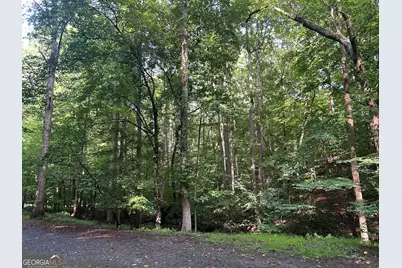0 Shiloh Court #132, Ellijay, GA 30540 - Photo 1