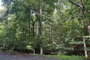 0 Shiloh Ct, Ellijay, GA 30540 - Photo 1