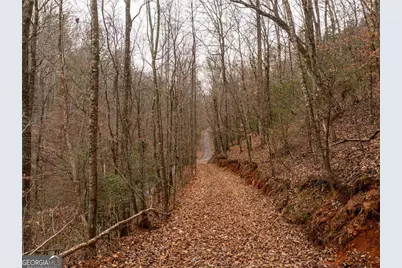 377 Soldiers Path, Dahlonega, GA 30533 - Photo 3