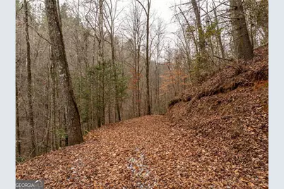 377 Soldiers Path, Dahlonega, GA 30533 - Photo 5