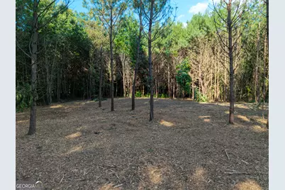 0 Hair Lake Road, Summerville, GA 30747 - Photo 23