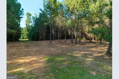 0 Hair Lake Road, Summerville, GA 30747 - Photo 25