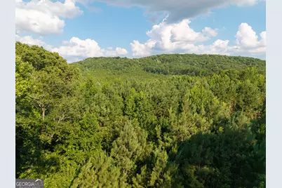 0 Hair Lake Road, Summerville, GA 30747 - Photo 21