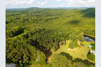 0 Hair Lake Road, Summerville, GA 30747 - Photo 17