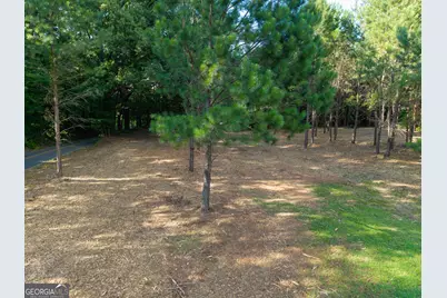0 Hair Lake Road, Summerville, GA 30747 - Photo 27