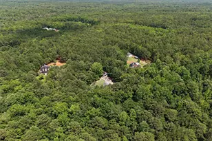 260 Nixon Rd, Senoia, GA 30276 - Photo 55