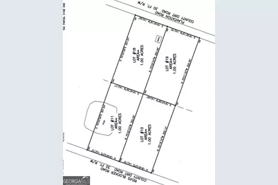 Lot 10,11,18 NE Revis Blocker Road NE, Glennville, GA 30427 - Photo 7