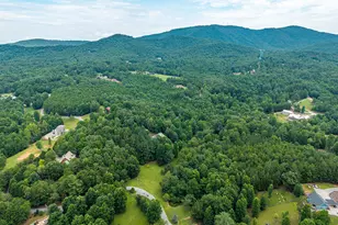 1347 Ivylog Dr, Blairsville, GA 30512 - Photo 61