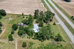 2362 Millen Hwy, Sylvania, GA 30467 - Photo 73