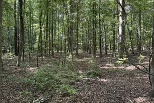 0 Beaverdam Rd, Winterville, GA 30683 - Photo 1