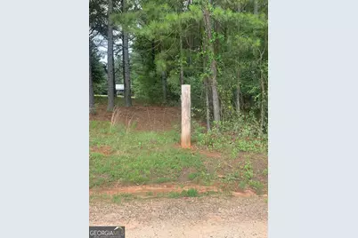 5.008 Ac Digby Rd #TRACT II, Covington, GA 30014 - Photo 5
