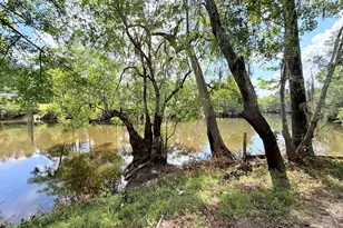 86 Shadydale Rd, Lumber City, GA 31549 - Photo 41