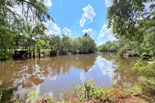 86 Shadydale Rd, Lumber City, GA 31549 - Photo 39