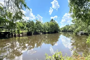 86 Shadydale Rd, Lumber City, GA 31549 - Photo 43
