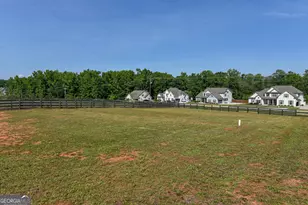232 Township Dr, Senoia, GA 30276 - Photo 19
