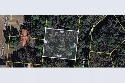 205 Combs Drive, Montezuma, GA 31063 - Photo 1