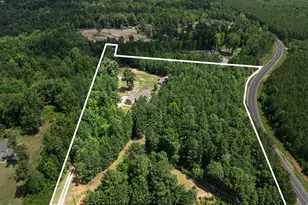 441 Boynton Rd, Hampton, GA 30228 - Photo 33