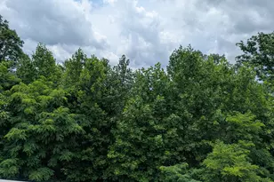 388 Ross Ridge Rd, Blairsville, GA 30512 - Photo 17