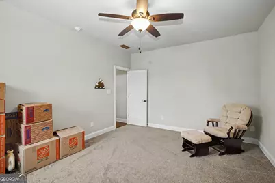 143 Linchwood Drive, Senoia, GA 30276 - Photo 33