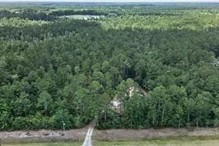 27418 GA-46, Ellabell, GA 31308 - Photo 31