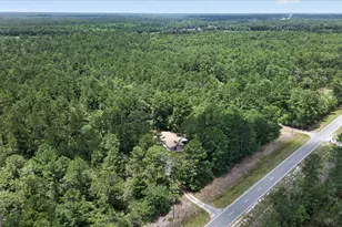 27418 GA-46, Ellabell, GA 31308 - Photo 33