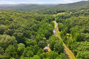 3014 Oakey Mountain Rd, Clarkesville, GA 30523 - Photo 39