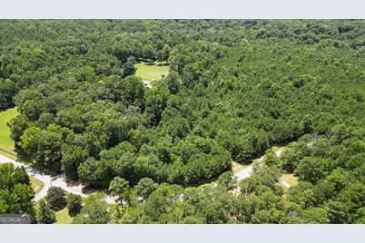 0 Overland Trail, Sharpsburg, GA 30277 - Photo 7
