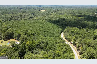 0 Overland Trail, Sharpsburg, GA 30277 - Photo 9