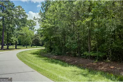 0 Overland Trail, Sharpsburg, GA 30277 - Photo 5