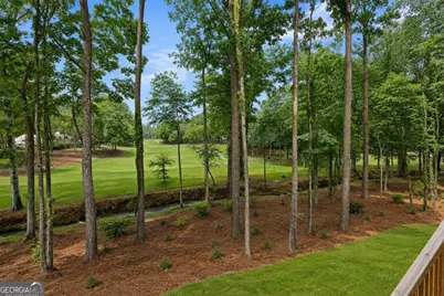 1091 Pinehurst Drive, Greensboro, GA 30642 - Photo 3